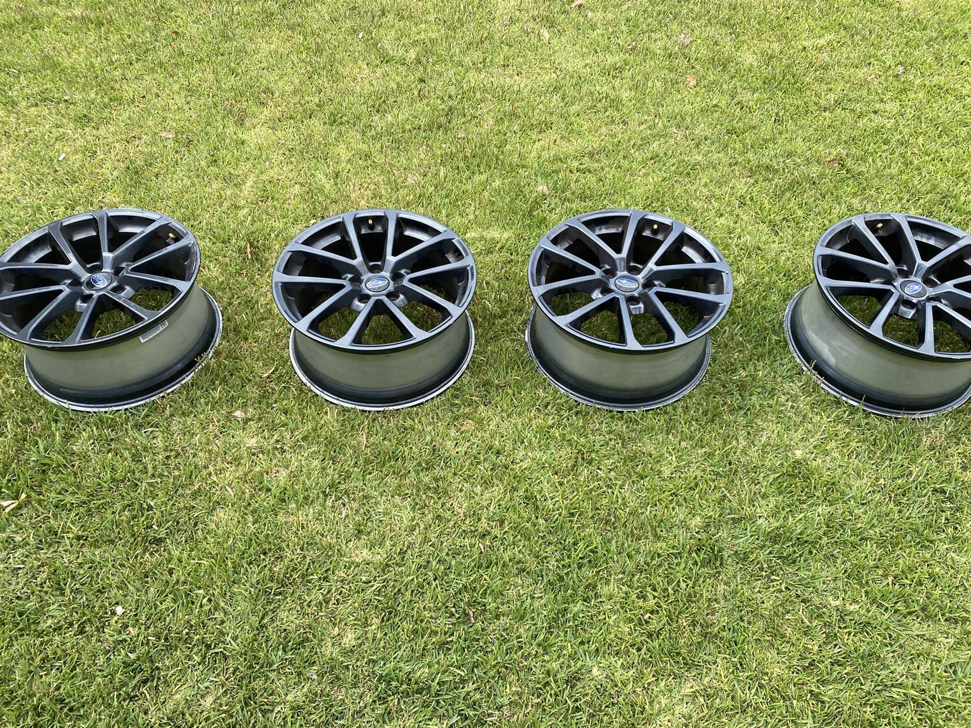 Stock Wrx Rims 