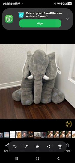 Elephant, super large