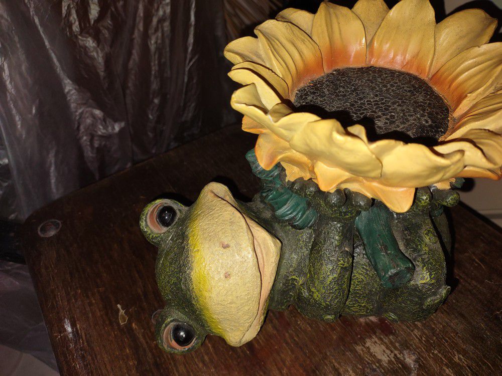 Frog With Sunflower