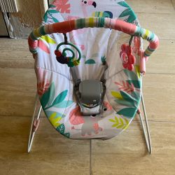 Baby Girl Bouncer 