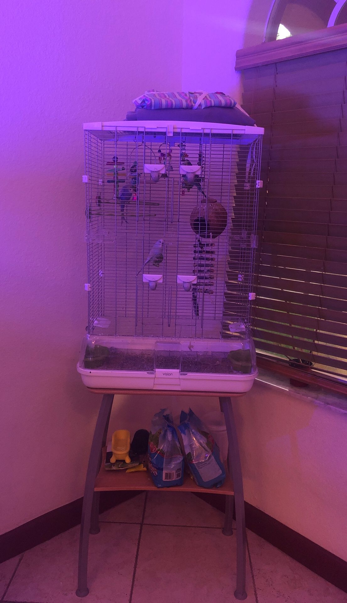 3 Parakeets and complete setup