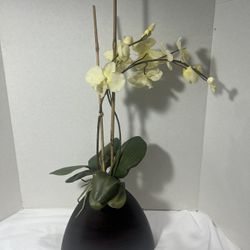 Orchid Flower Artificial Real Look & Touch in Ceramic Vase