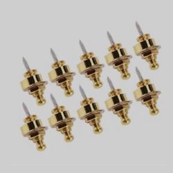10 Gold Strap Locks
