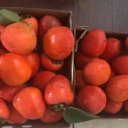 Persimmon Organic Home Grown Fresh Picked 20 For $20
