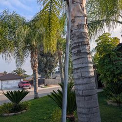 Drywall Cornerbead Galvanized Steel 1 1/4in x 10 Ft