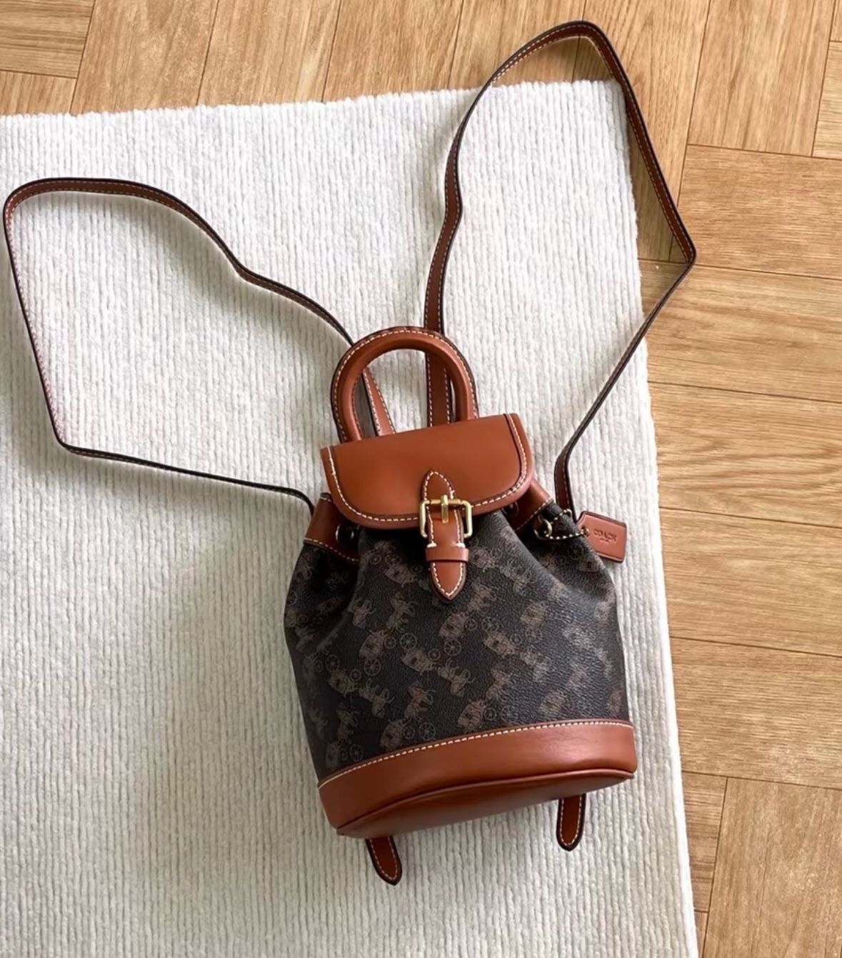 COACH  Backpack
