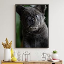 Art Frenchie Fluffy Frame 
