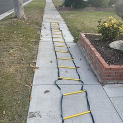 Training Ladder