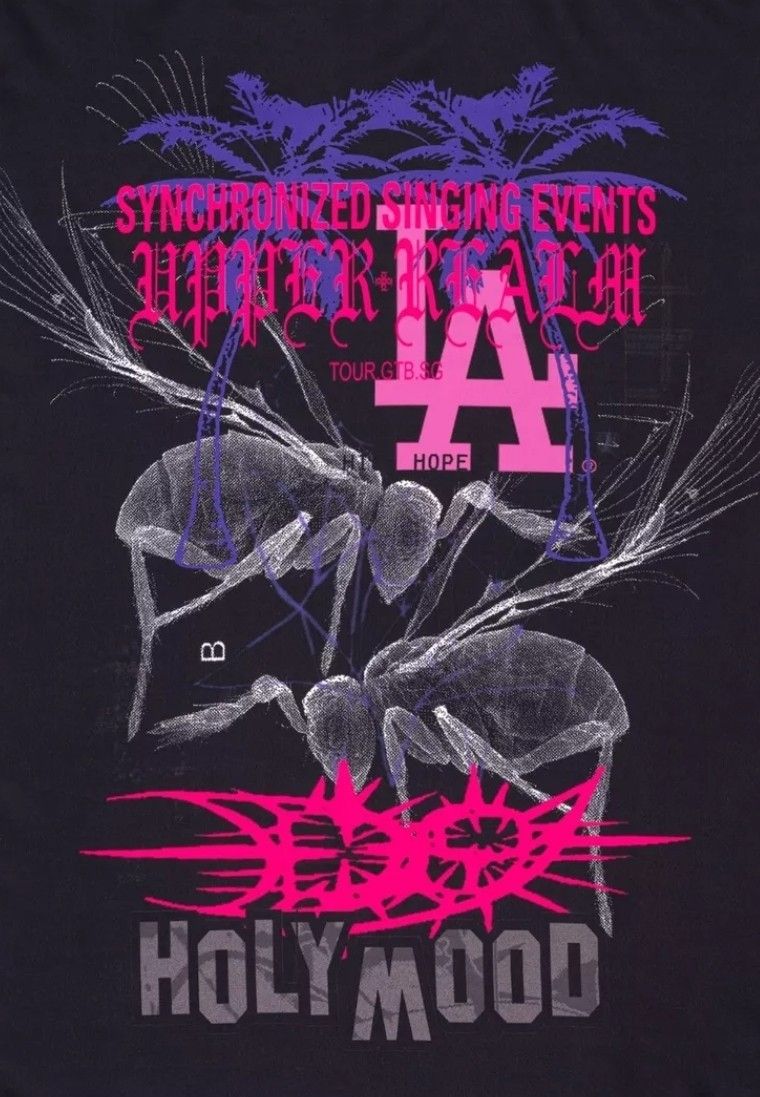 Drain Gang D9 LA Flag