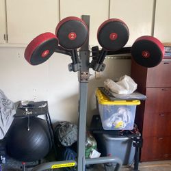 Boxing Pads