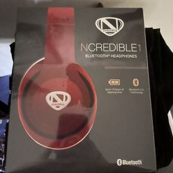 Earphones