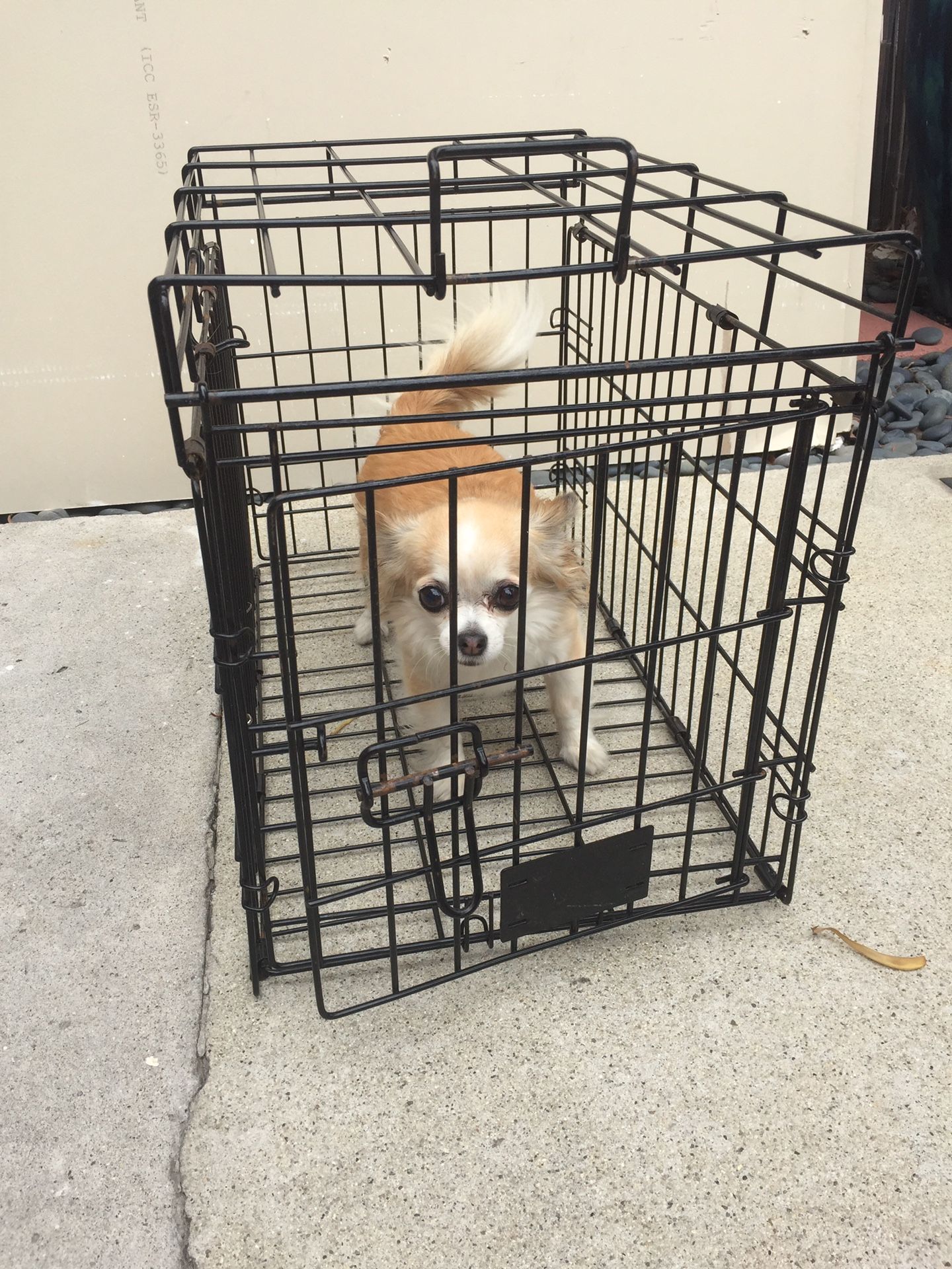 Small Wire Dog Training Crate