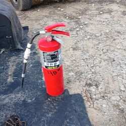 10 Lb Sentry  Fire Extinguisher 