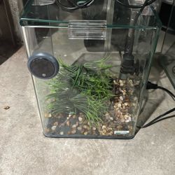 Small Fish Tank 2 Gallons I Believe