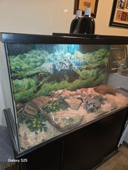Snake cage includes everything in pics