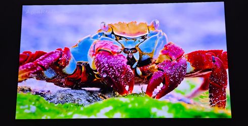 Samsung QN55S95CAF - 55" Diagonal Class (54.6" viewable)
S95C Series OLED TV
Smart TV
Tizen OS
4K UHD (2160p) 3840 x 2160
HDR
Quantum Dot
titan black