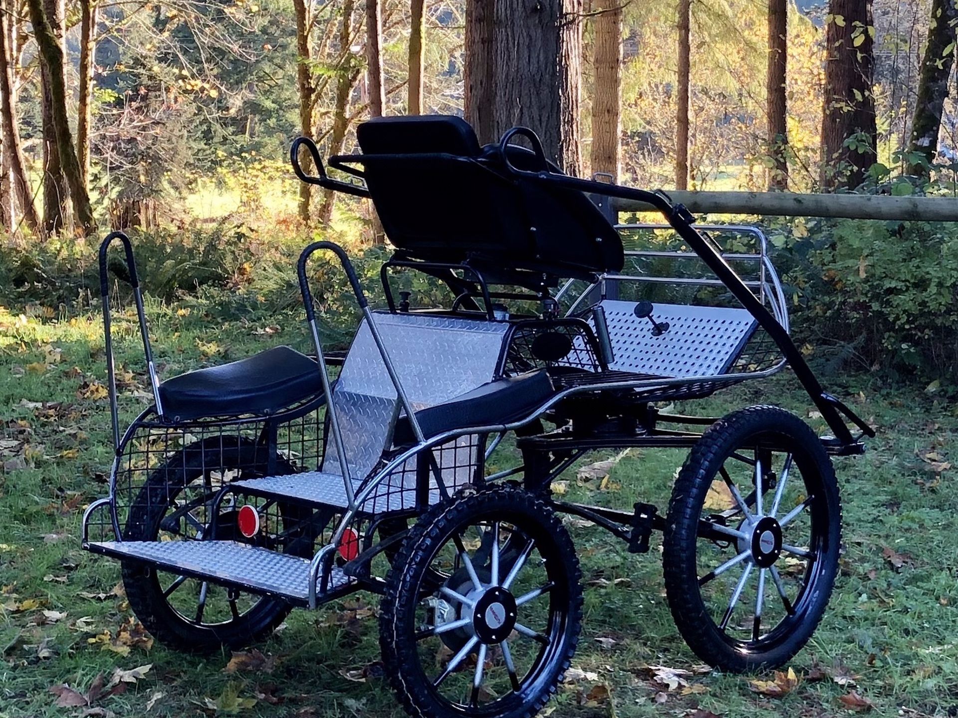 Horse Carriage