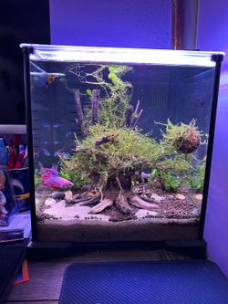 Fish tank
