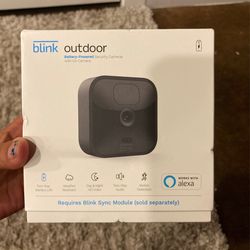 In And Out Door Blink Cameras