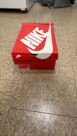 Nike Dunks ( Plum)