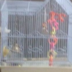 🕊️ Bird Cage With Toys 