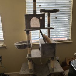 81.1 Inch Cat Tree (used) 