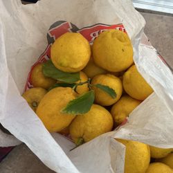 Yellow Lemons