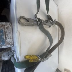 Buckingham Buck squeeze