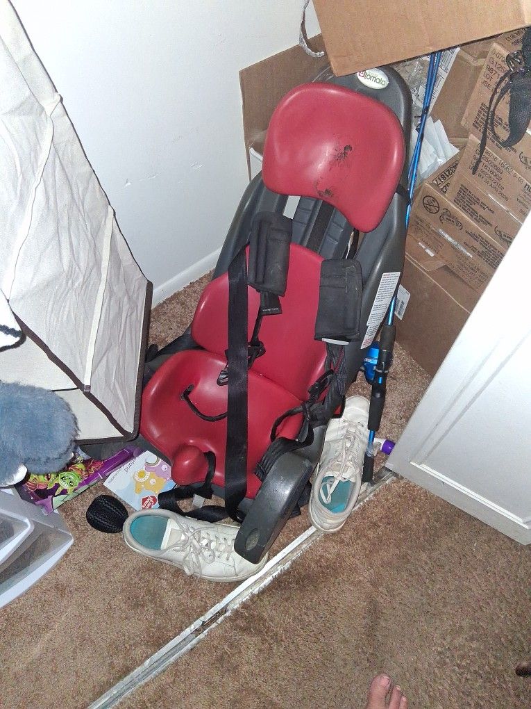 Special Tomato Special Needs Car Seat