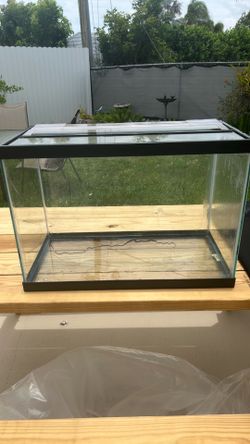 20 gallon tank