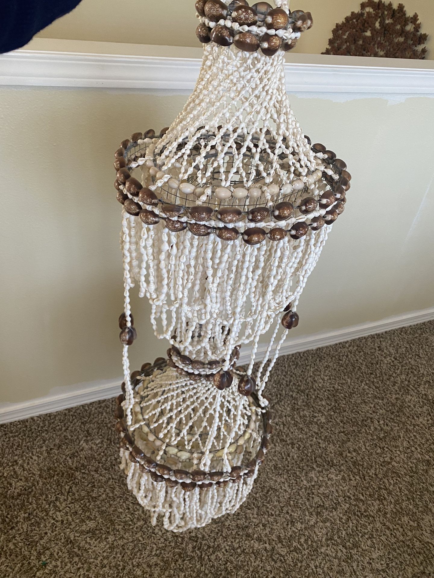 Seashell Decor
