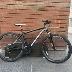 DiamondBack Mountain Bike