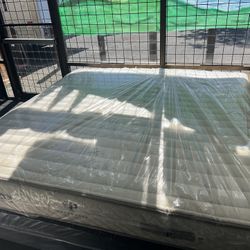 KING SIZE PLUSH BEDS ORGANIC LATEX MATTRESS & BOX SPRINGS BED SET