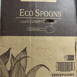 500 Pcs Eco Spoons