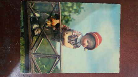 Vintage antique Maine post cards