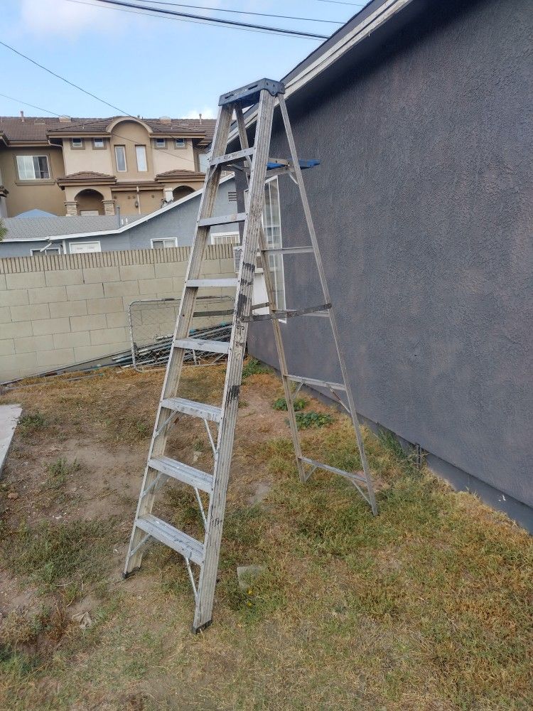 Werner Ladder 8ft
