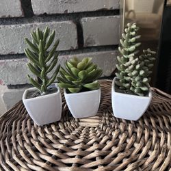 Small Faux Succulents 