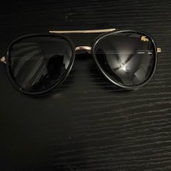 Designer Glasses