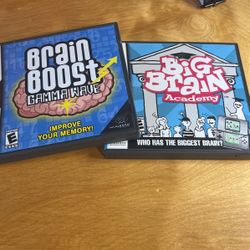 Nintendo DS - Brain Boost And Big Brain Academy