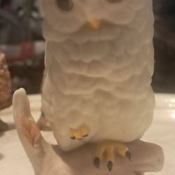 Owl Decor