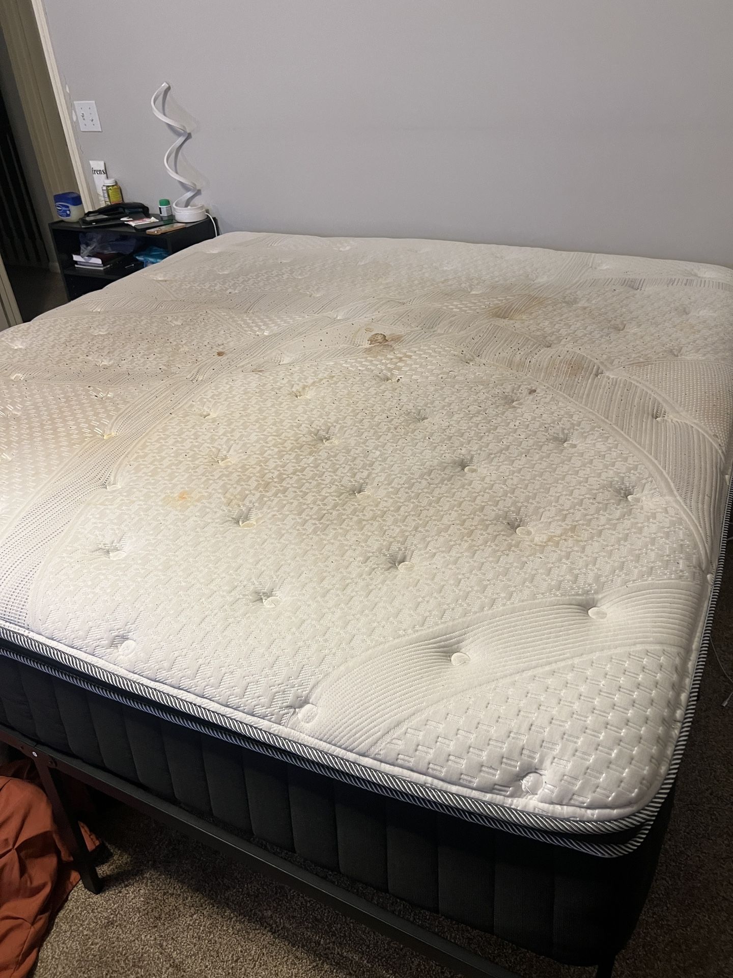 King Sized Doggy Bed