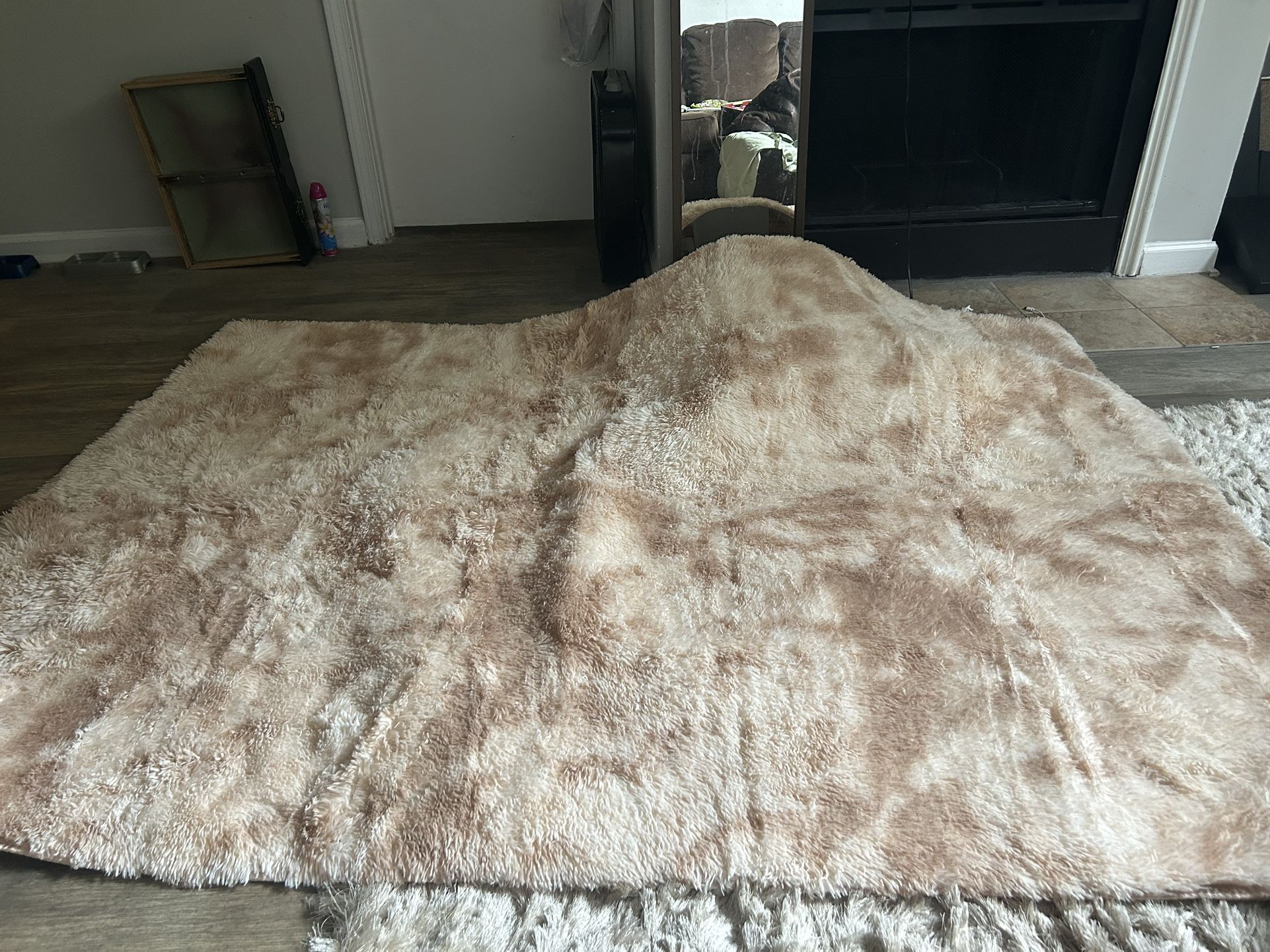 Rug for Sale in Stone Mountain, GA OfferUp