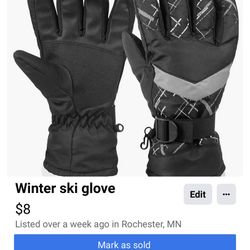 Winter Ski Gloves