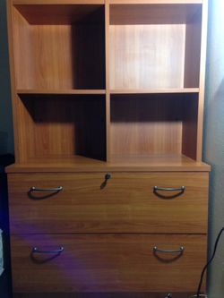 Danish File Cabinet/Bookcase