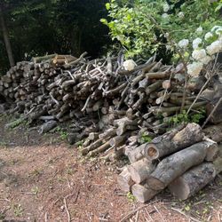 🔥 Seasoned Firewood ~1.5 Cords  (Delivery Available)