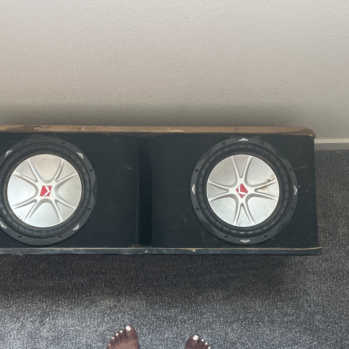 Two Ten Subwoofers 