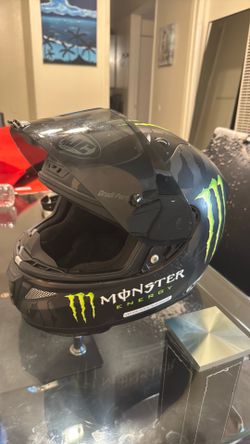 Monster Motorcycle Helmet