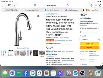 Essa Touch-2O Technology Single-Handle Pull-Down Sprayer Kitchen Faucet