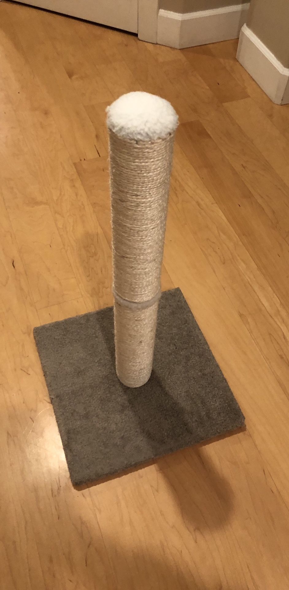 Cat litter and cat scratching post