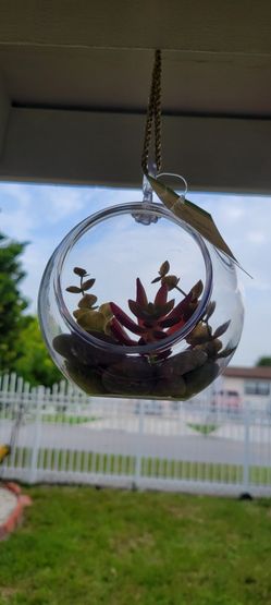 Adornos De Plastico Para Interior O Exterior